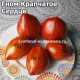 Крапчатое Сердце дварф