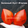 Зеленый Куст Италии