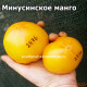 Минусинское манго
