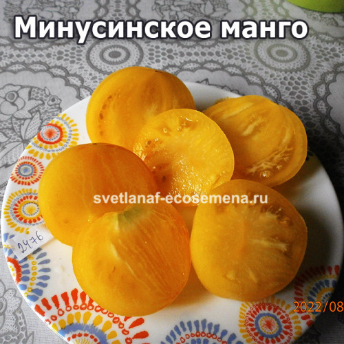 Минусинское манго