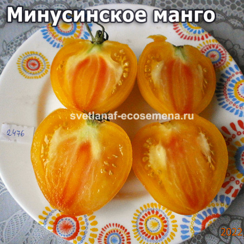 Минусинское манго
