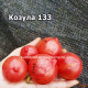 Козула 133 (Kozula 133)