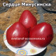 Сердце Минусинска