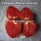 Сердце Минусинска
