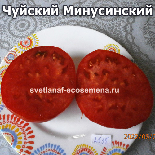 Чуйский Минусинский