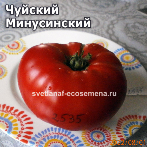 Чуйский Минусинский