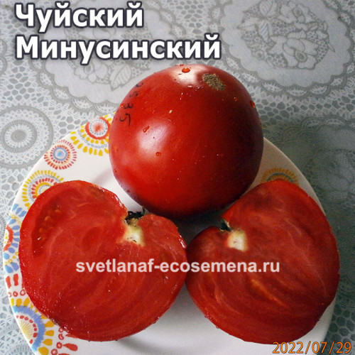 Чуйский Минусинский