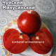 Чуйский Минусинский