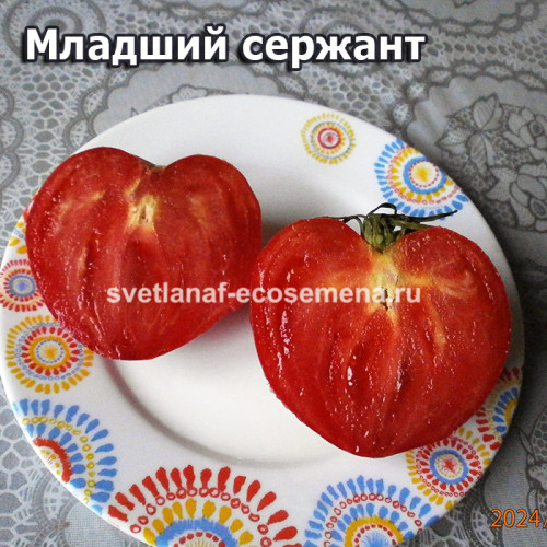 Младший сержант (Junior Sergeant)