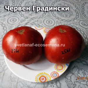 Червен Градински (Cherven Gradinski)