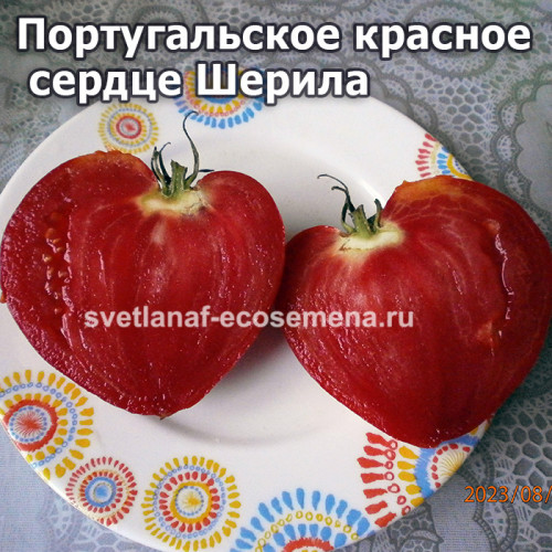 Португальское красное сердце Шерила (Sheryl’s Portuesse Red Heart)