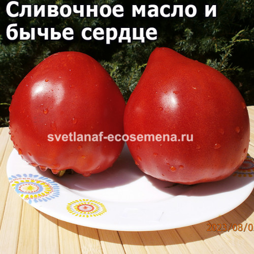 Сливочное масло и бычье сердце (Butter and Bull Heart)