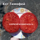 Кот Тимофей
