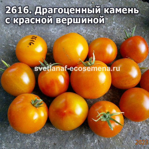 Драгоценный камень с красной вершиной (Red Topped Gem)