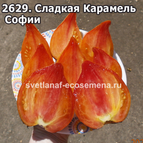 Сладкая Карамель Софии