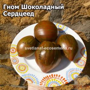 Гном Шоколадный Сердцеед (Dwarf Chocolate Heartthrob)