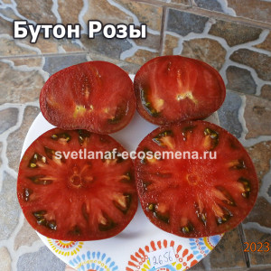 Rosebud (Бутон Розы)