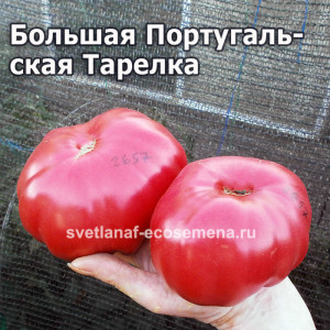 Большая Португальская Тарелка (Grosse Plate du Portugal)