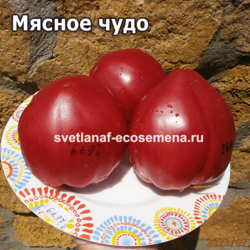 Мясное чудо (Fleish Wunder)