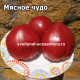 Мясное чудо (Fleish Wunder)