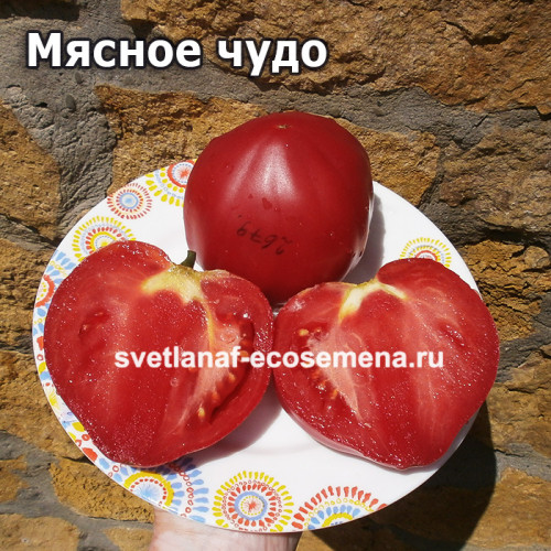 Мясное чудо (Fleish Wunder)
