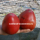 Мясное чудо (Fleish Wunder)