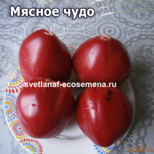 Мясное чудо (Fleish Wunder)
