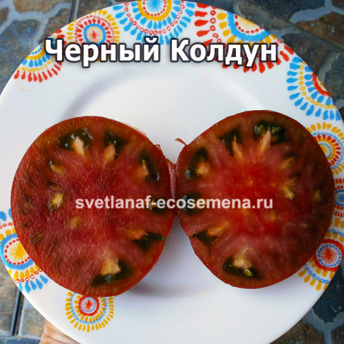 Черный Колдун гном (Black Wizard Dwarf, Гном Черный волшебник)