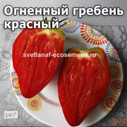 Огненный гребень красный (Cresta Di Fuoco Red)