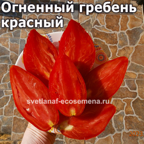 Огненный гребень красный (Cresta Di Fuoco Red)