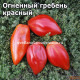 Огненный гребень красный (Cresta Di Fuoco Red)