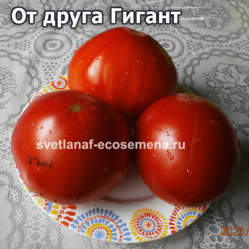 От друга Гигант ( D’Ami Giant)