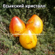 Есыкский кристалл 