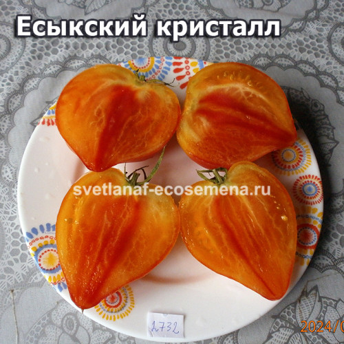 Есыкский кристалл 
