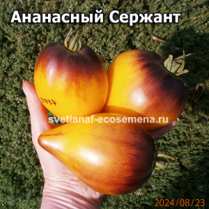 Ананасный Сержант