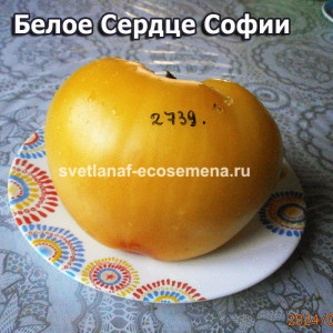 Белое Сердце Софии