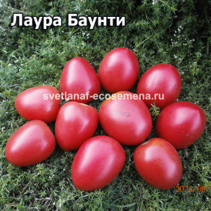 Лаура Баунти