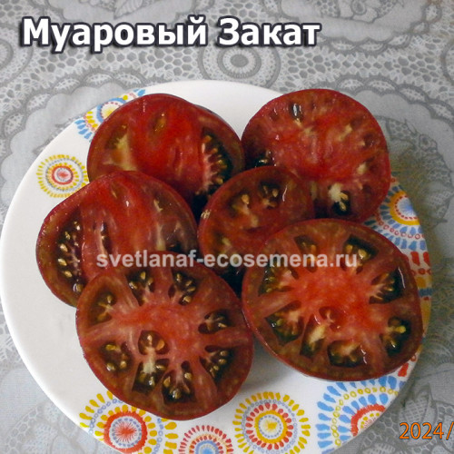 Муаровый Закат