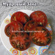 Муаровый Закат