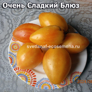 Очень Сладкий Блюз