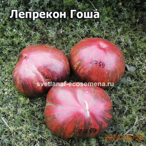 Лепрекон Гоша dwarf