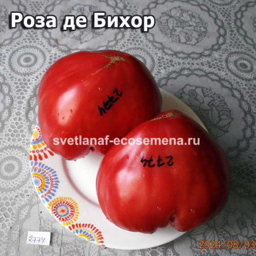 Роза де Бихор  (Rose de Bihor)