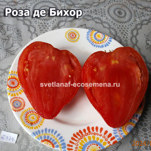Роза де Бихор  (Rose de Bihor)