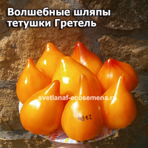 Волшебные шляпы тетушки Гретель (Tante Gretels magische Hüte)
