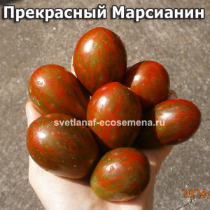 Прекрасный Марсианин