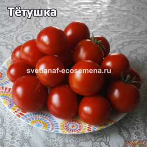 Тетушка