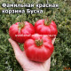 Фамильная красная корзина Буска (canestrino red familiare di busca)