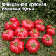 Фамильная красная корзина Буска (canestrino red familiare di busca)