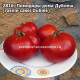 Помидоры дома Дублеш  (rosiile casei Dubles)
