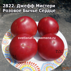 Джефф Мистери Розовое Бычье Сердце